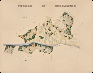 Galbino_2_BERGAMINO_PRINT