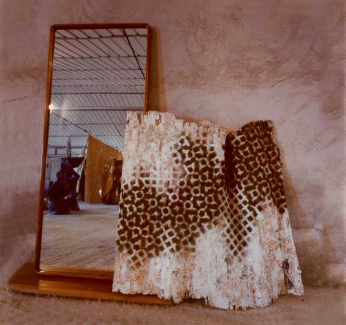 Fabrizio Ruggiero.Mirror and fragment